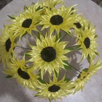 گل افتابگردون سایز بزرگ وکوچک گل رز وپر