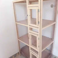 قفس. سه تایی