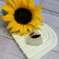 انگشتر|بدلیجات|پرند, فاز ۰|دیوار