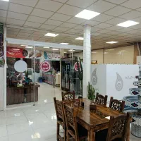 نیروی کار خانم