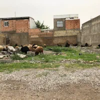 زمین-مسکونی