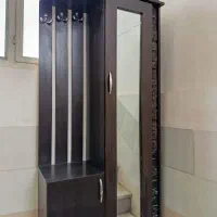 جاکفشی آیینه دار