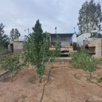 باغ-روستای-خلج-آباد-امام-زاده-معین