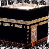 فیش حج