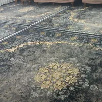 دو عددفرش ۱۲متری در حد نو طرح جدید|فرش|زنجان, |دیوار