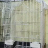 قفس احتیاج مالی