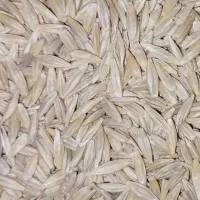 جو سرارود و محلی