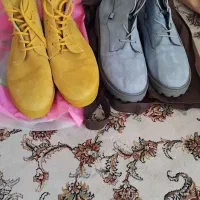 تعدادی کفش و نیم بوت ( پوتین ) زنانه|کیف، کفش، کمربند|اندیشه, اندیشه فاز ۴|دیوار