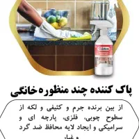 پاک کننده چند منظوره جی پلاس|مواد شوینده و دستمال کاغذی|سنندج, |دیوار