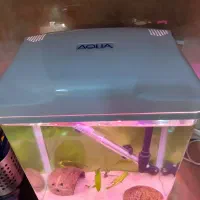 آکواریوم شیشه خم شرکتی