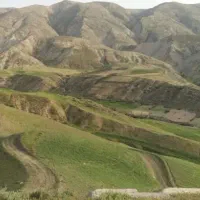 باغ-انگور