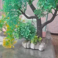 تنگ به همراه وسایل|ماهی|خوی, |دیوار