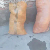 پشم گوسفند
