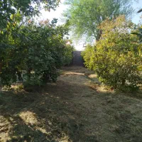 علف زنی. حرس درختان. جوب بندی شخم زنی