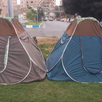جنس اصلی