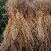 جارو‌درجه‌یک‌