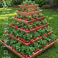 فروش-زمین-مسکونی-ویلایی