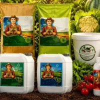 نفس گیاهتو برگردون