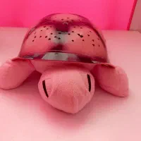 شبخوابلاکپشتشلمان