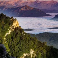 همکار در ساندویچی بوفه باشگاه ورزشی