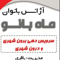 همکار خانم با ماشین جهت کار در اژانس بانوان