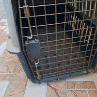باکس سگ و گربه