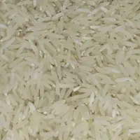 برنج عنبربو