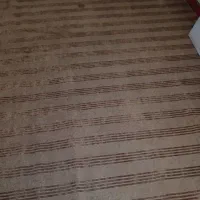 موکت|موکت|آزادشهر, |دیوار