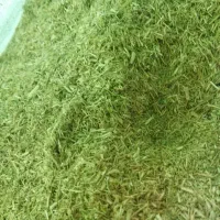 خارشتر دستچین بدون  گرد خاک