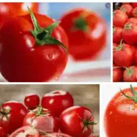 ابگیری گوجه فقط دوهزار تومن