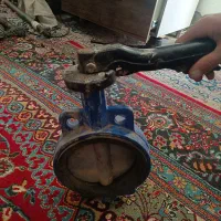 فلکه پروانه ای