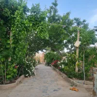 باغ ۳۰۰متری استخردوردیوار