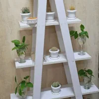 بوفه