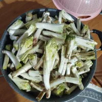 کنگر درجه یک مال امروز