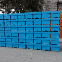 کندو زنبورعسل