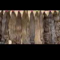 ف ر و ش وخ ر ی د مو مو