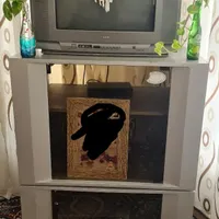 تلویزیون