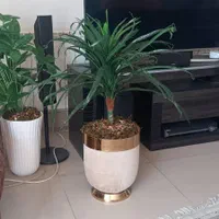 گلدان نخل آناناسی مصنوعی