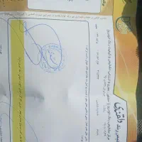 پراید ۱۳۲|خودرو سواری و وانت|سبزوار, شهرک ابوذر|دیوار