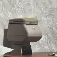 کنسول پژو پارس ، سمند ، ۴۰۵