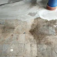 خدمات کفسابی ساختمان|خدمات نظافت|اندیکا, |دیوار