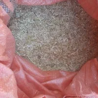 کاه سفیدکه علفب ها