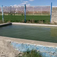 زمین داخل بافت ویلایی ۲۵۰۰ متری|فروش زمین و ملک کلنگی|تنکمان, |دیوار