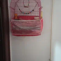 قفس بزرگ بفروش میرسد|لوازم جانبی حیوانات|باسمنج, |دیوار