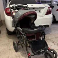 کالسکه دلیجان درحد نو