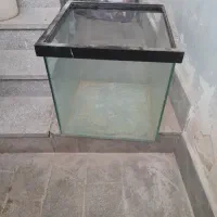 آکواریوم