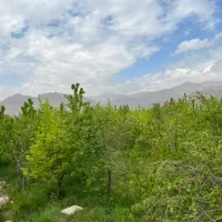 زمین شهرکی کردان فشند 665 متر چسب بافت|فروش زمین و ملک کلنگی|هشتگرد, فشند|دیوار