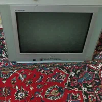 تلویزیون