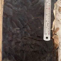 کتاب قران باقدمت ۲۰۰ساله|کلکسیون اشیاء عتیقه|لاهیجان, شیشه گران|دیوار