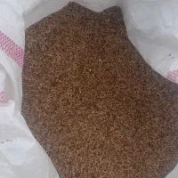 بوجاری شده یونجه